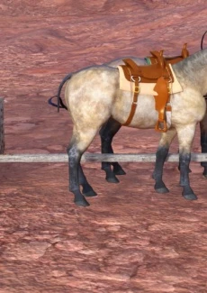 Old Wild West (36)