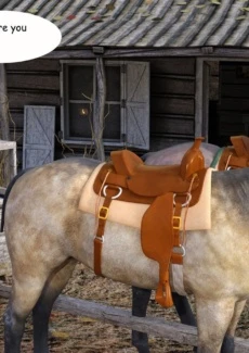 Old Wild West (6)