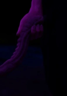 The Beast Land 2 (105)
