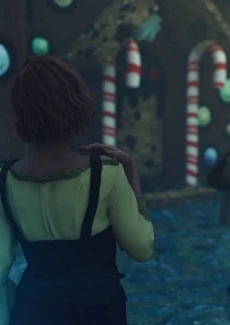Hansel and Gretel (10)