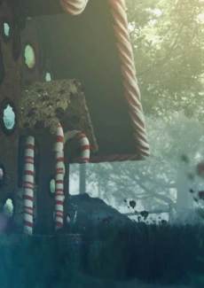 Hansel and Gretel (9)