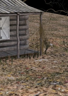 Old Wild West (84)