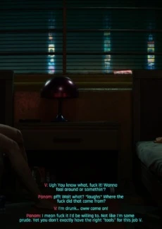 Cyberpunk V’s Advtuters (44)