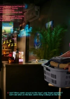 Cyberpunk V’s Advtuters (50)