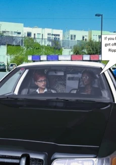 Payback 4 (20)