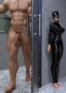 The Disastrcus Misadventures Of Catwoman (27)