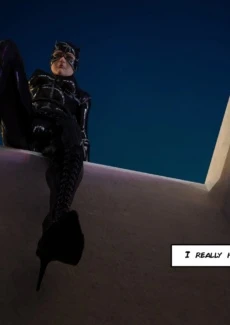 The Disastrcus Misadventures Of Catwoman (3)