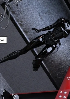 The Disastrcus Misadventures Of Catwoman (5)