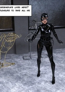 The Disastrcus Misadventures Of Catwoman (6)