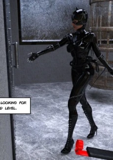The Disastrcus Misadventures Of Catwoman (7)