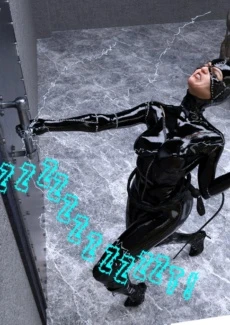 The Disastrcus Misadventures Of Catwoman (8)