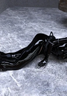 The Disastrcus Misadventures Of Catwoman (9)