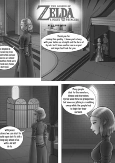 A Night with the Princess (3)