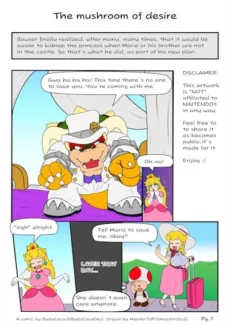 BudaCoca - Mastr7UP - The mushroom of desire