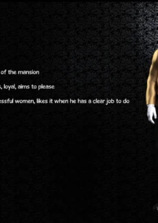 Classic_Silke_14_Job_Security_3