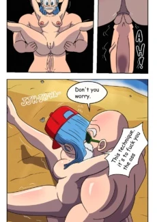Bulma’s Search (17)