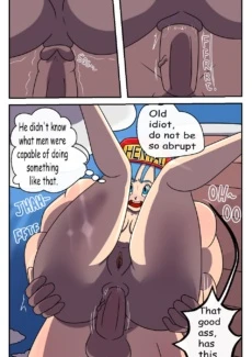 Bulma’s Search (18)