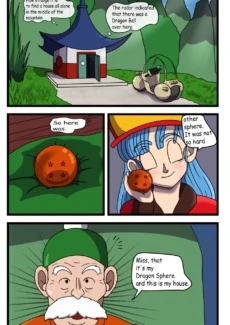 Bulma’s Search (3)
