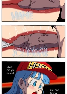 Bulma’s Search (32)