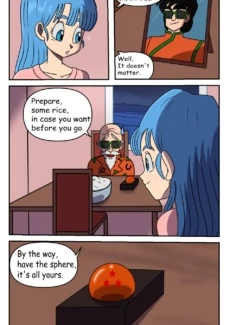 Bulma’s Search (36)