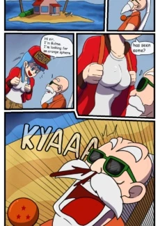 Bulma’s Search (7)