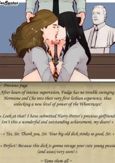 Harry and the Whorcruxes (12)