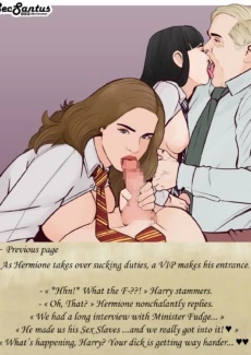 Harry and the Whorcruxes (18)