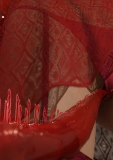 House Guest – 45