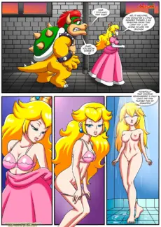 The Mushroom Kingdom Secret 0003