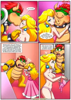 The Mushroom Kingdom Secret 0005