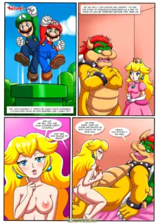 The_Mushroom_Kingdom_Secretmushroon_kingdom_08