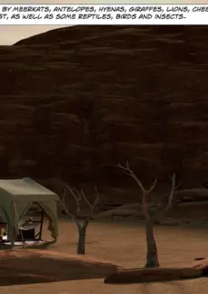 Tomb Raider (4)
