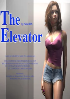 SedesDiS - The Elevator