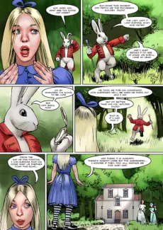 Alice off the deep end 20250019
